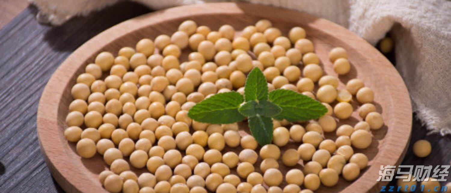 探秘！滋养春砂仁的山野秘境